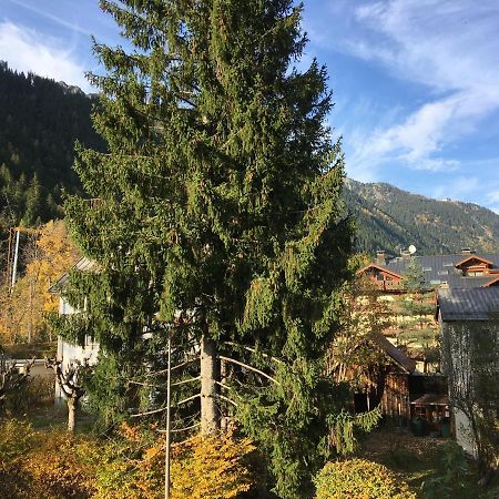 Aster Apartman Chamonix Kültér fotó
