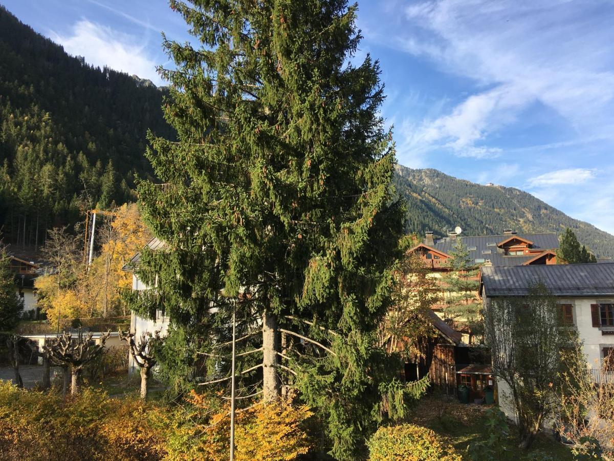 Aster Apartman Chamonix Kültér fotó